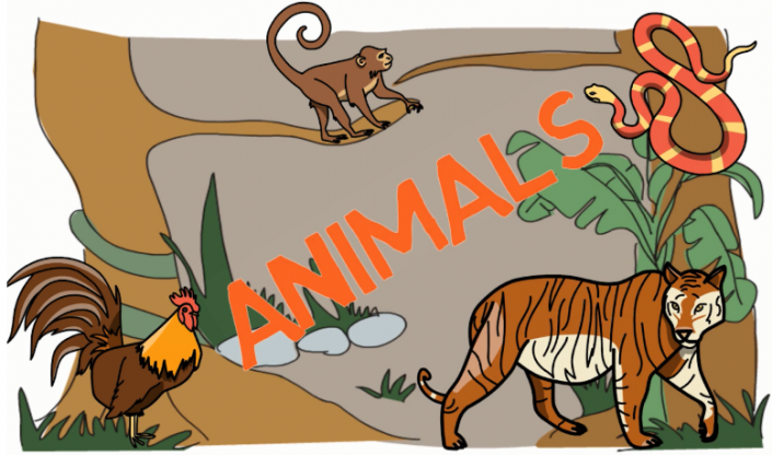 Animal colour images